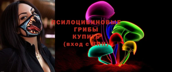 apvp Каменногорск
