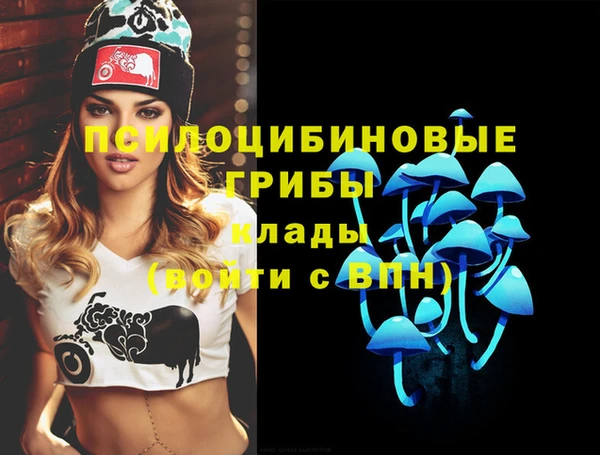 дурь Каменск-Шахтинский