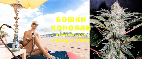 apvp Каменногорск