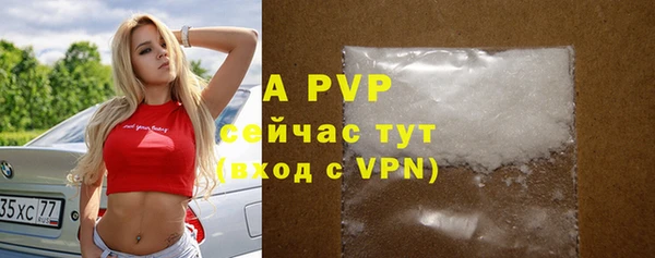 apvp Каменногорск
