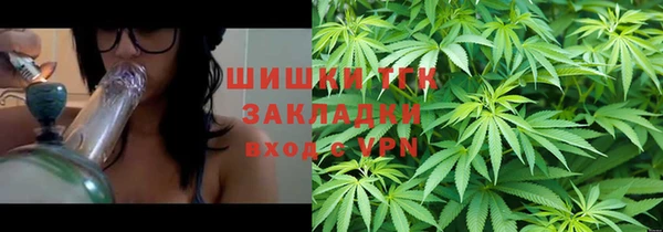 стафф Каменка