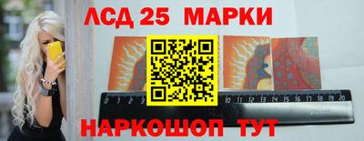 СК Кингисепп