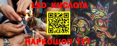 СК Кингисепп