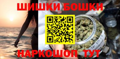 СК Кингисепп