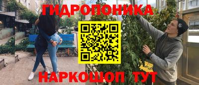 СК Кингисепп
