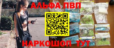 СК Кингисепп