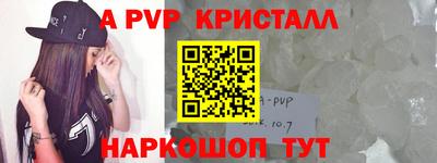 СК Кингисепп