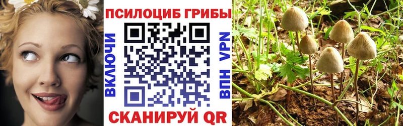 купить   Крымск  Псилоцибиновые грибы GOLDEN TEACHER 