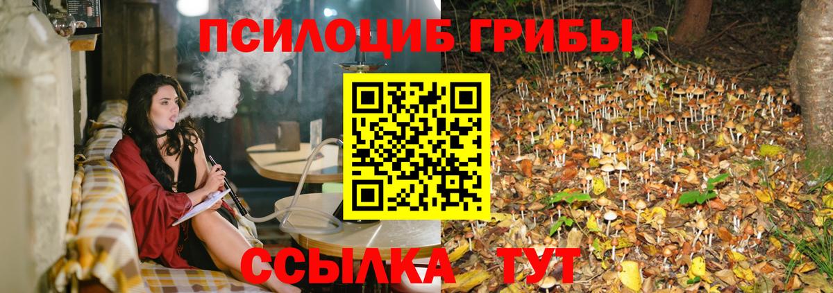 Галлюциногенные грибы мухоморы  Псилоцибиновые грибы Cubensis  Вход с VPN  магазин  наркотиков  Крымск 